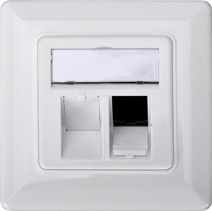 Actual product image Digitus Keystone holder