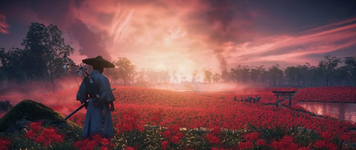 Immagine prodotto Sony Ghost of Tsushima Director"s Cut Standard+Add-on+DLC PlayStation 4 (PS4, EN)
