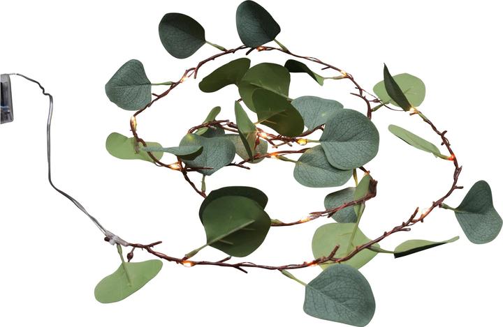 Image du produit GuGus Feuilles d'eucalyptus (0.30 m)