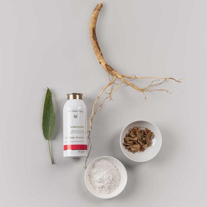 Produktbild Dr. Hauschka Seidenpuder (Körperpuder, 300 ml)
