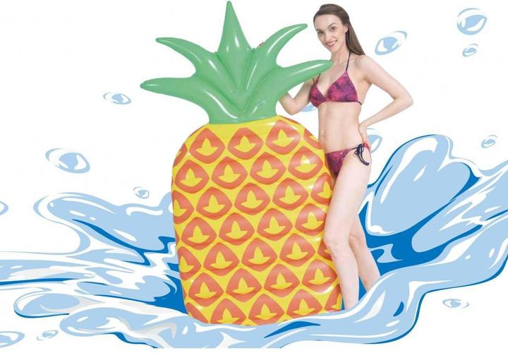 Actual product image Jilong Pineapple
