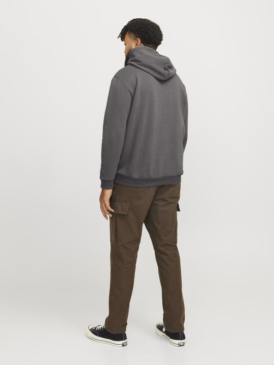 Actual product image Jack & Jones Jjebradley Sweat Hood Noos Pls (4XL)