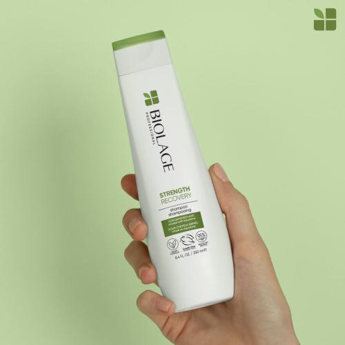 Produktbild Biolage Shampoo for damaged hair Strength Recovery (Shampoo) - Volume: 250 ml (250 ml, Flüssiges Shampoo)