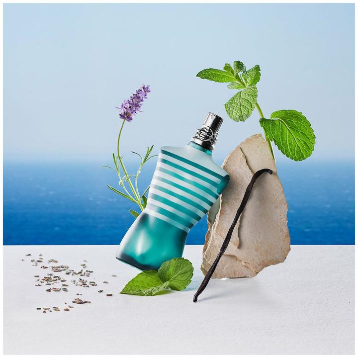 Immagine prodotto Gaultier Le Male (Eau de toilette, 125 ml)