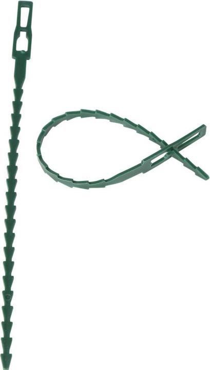 Siena Garden Raccoglitore di piante (17 cm, 800 cm)