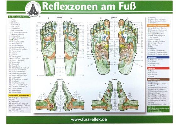 You Nails Fussreflexzonentafel 59 x 41 de