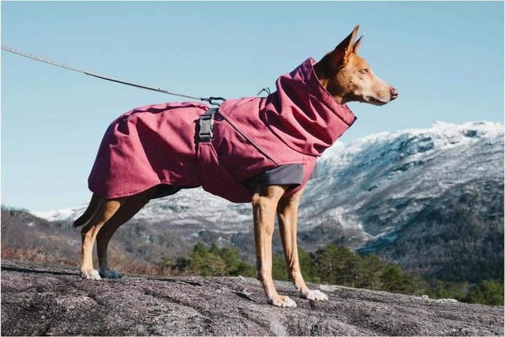 Produktbild Hurtta Expedition (20, Hundemantel)