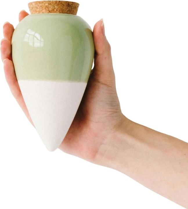 Pepin Sistema di auto-irrigazione Olla - Verde (Cono di argilla)