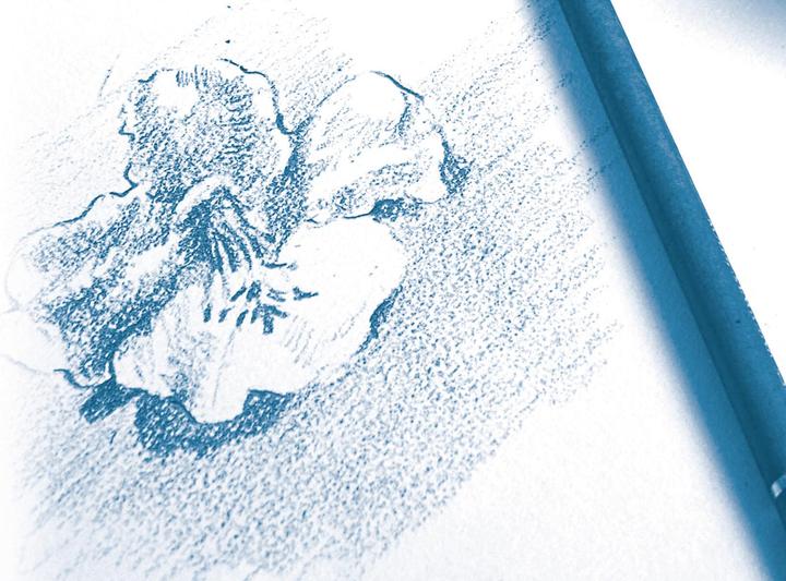 Actual product image Clairefontaine Drawing pad (A5, Plain, Soft cover)