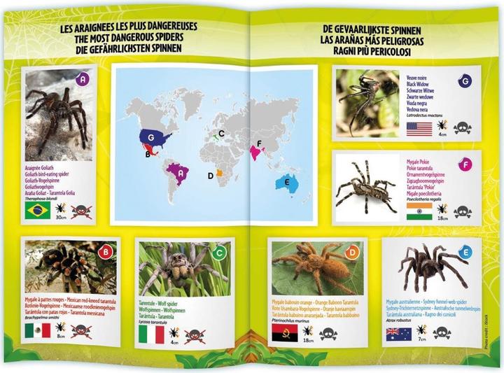 Image du produit Buki RC Oiseau araignée