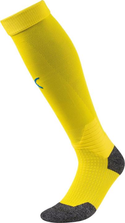 Actual product image Puma Team LIGA Socks-703438 (31, 34)