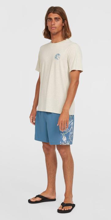 Produktbild O'Neill O'Riginals Side Panel 16" Swimshorts (S)