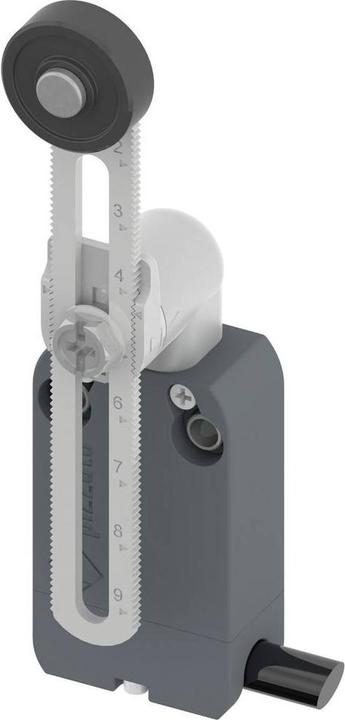 Pizzato Elettrica Endschalter 250 V/AC 4 A Rollenschwenkhebel tastend IP67 1 St.