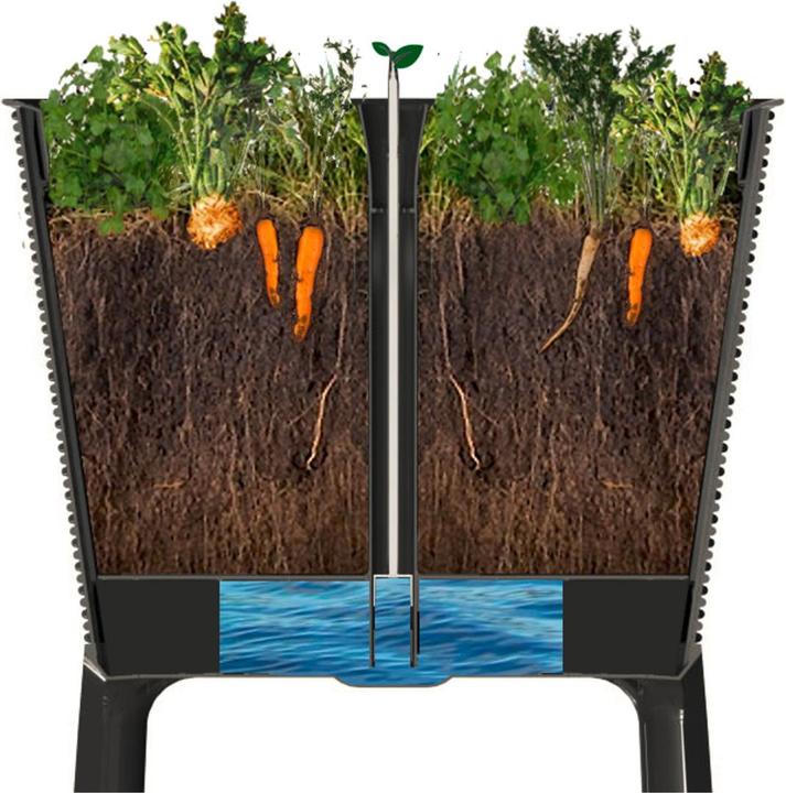 Actual product image Keter Easy Growing