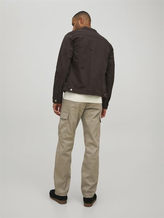 Actual product image Jack & Jones Kane Pablo Cargo Trousers