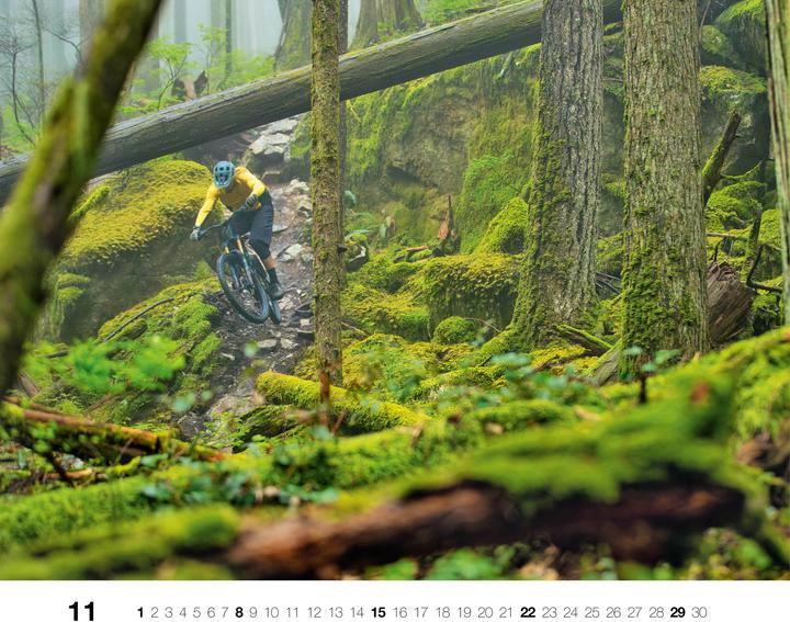 Actual product image Freeride 2026 (German)