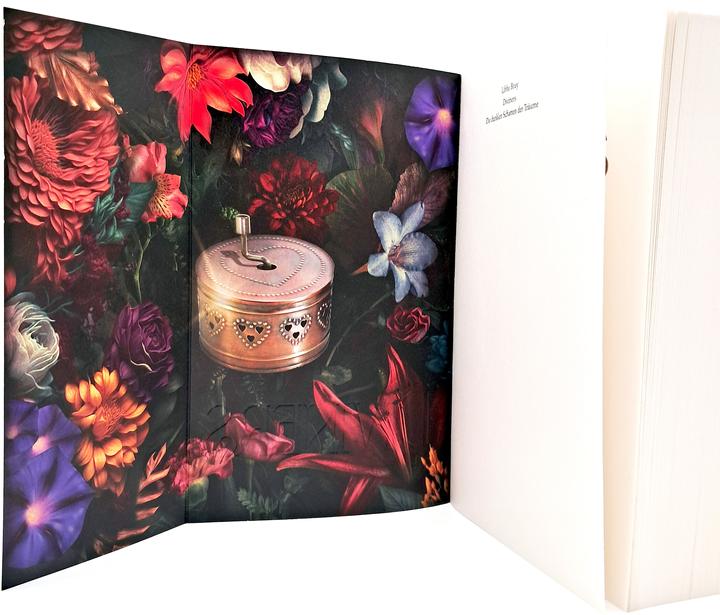 Actual product image Diviners – Die dunklen Schatten der Träume (German, Barbara Lehnerer, Bernadette Ott, Libba Bray, 2025)