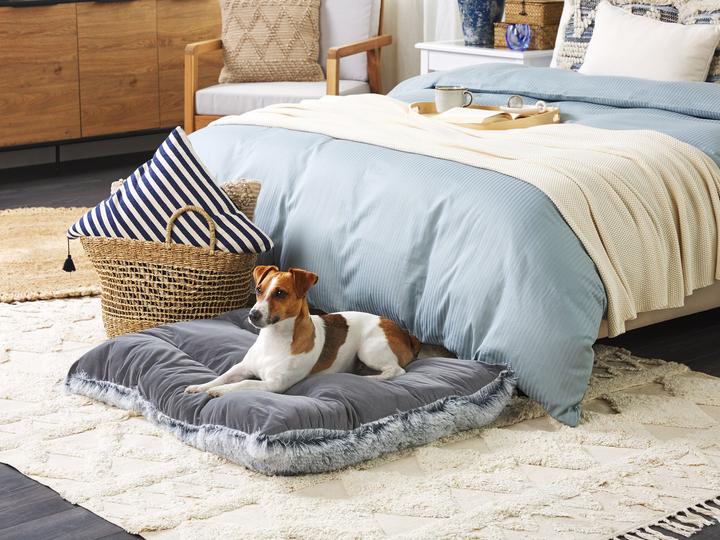 Produktbild Beliani Tierbett Samtstoff grau 90 x 60 cm ERGANI (Hund)