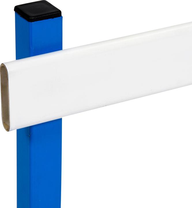 Actual product image Sport-Thieme Hurdle Magnetic (4000 g)
