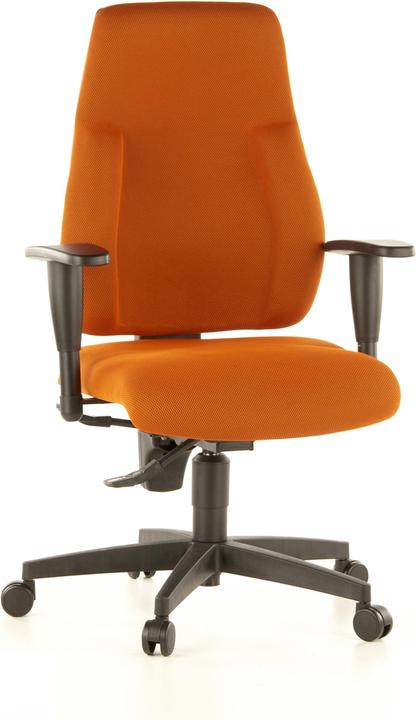 Immagine prodotto Topstar Lady Sitness