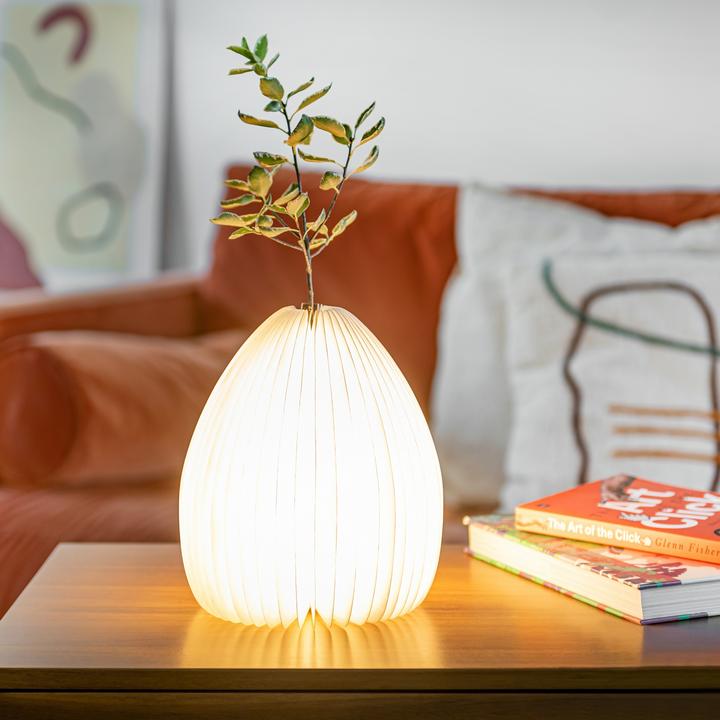 Image du produit Gingko Vase lumineux