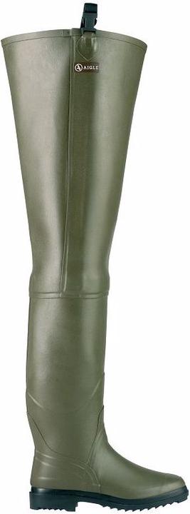 Aigle Truite