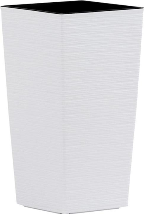 Actual product image Siena Garden Modern (25 cm)