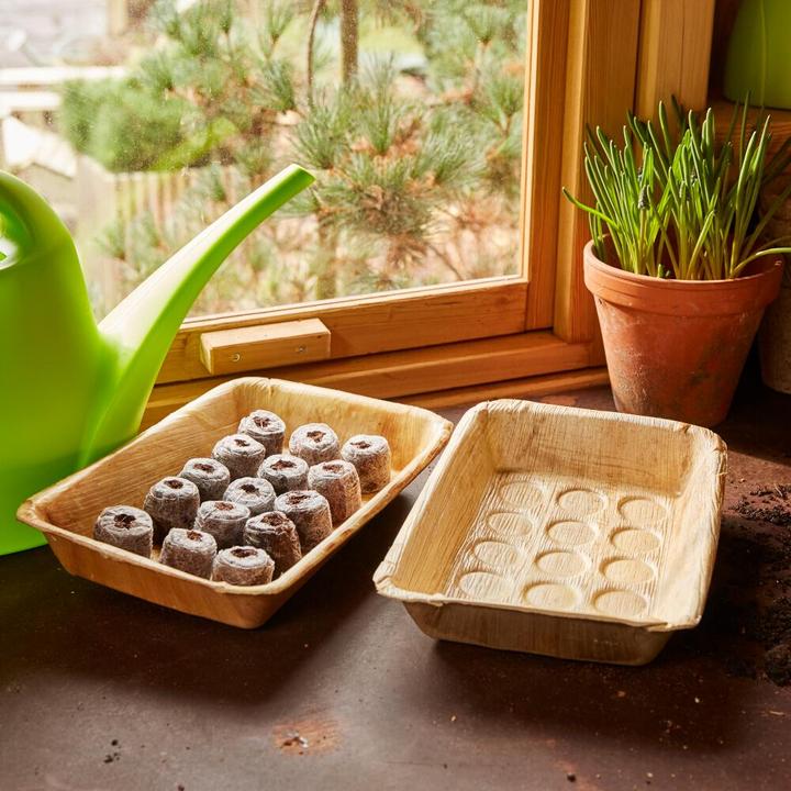 Produktbild Siena Garden Pikierschale