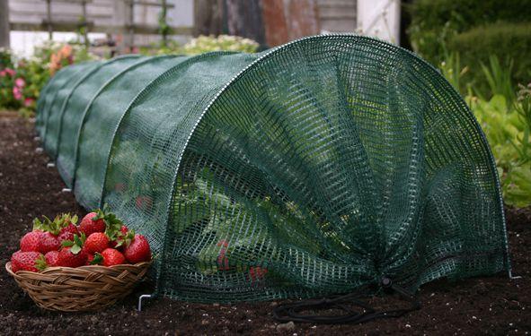 Actual product image Haxnicks Easy Net Tunnel
