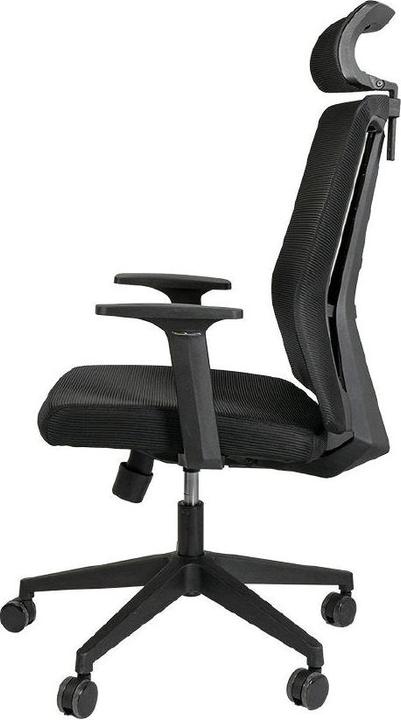 Actual product image Contini ErgoFlex