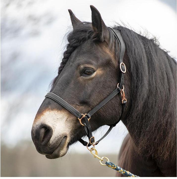 Immagine prodotto Soulhorse Elegantes Lederhalfter aus Fettleder