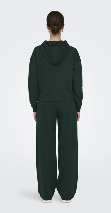 Actual product image Only Play ONPGO Sweatshirt Kapuzenpullover (M)