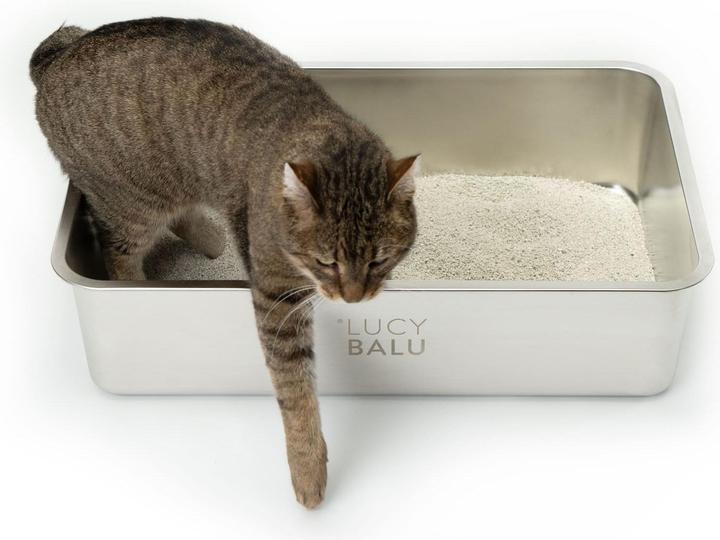 LucyBalu Steeloo (Katzenklo offen)