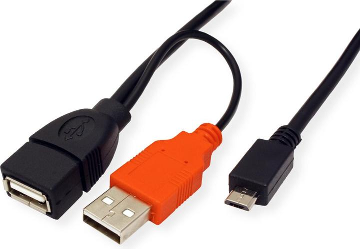 Roline USB Micro — 2x USB A (1 m, USB 2.0)