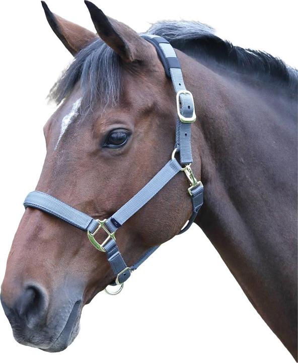 Immagine prodotto Shires Cavezza per cavalli in nylon Topazio