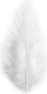 Produktbild Rayher Trendyfeder, weiss, 2 g