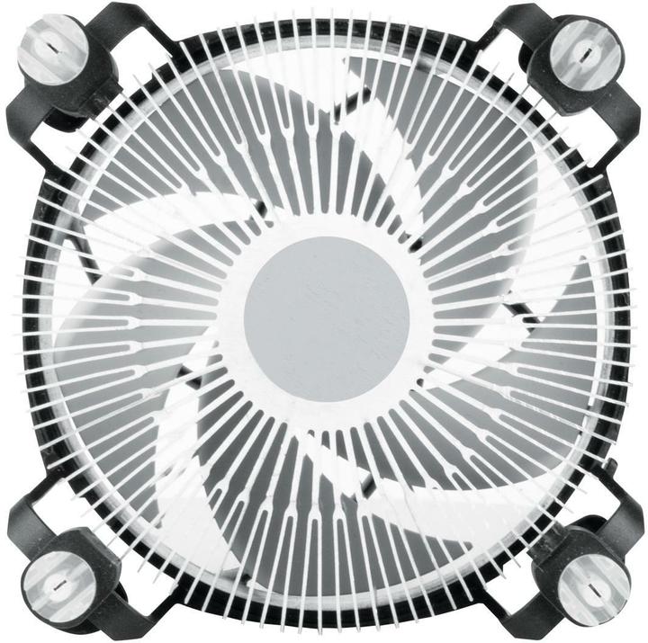 Actual product image Arctic Alpine 17 (77 mm)