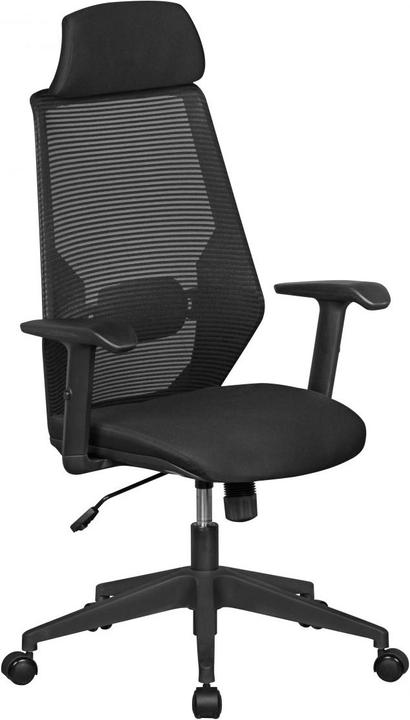 Amstyle NetStar