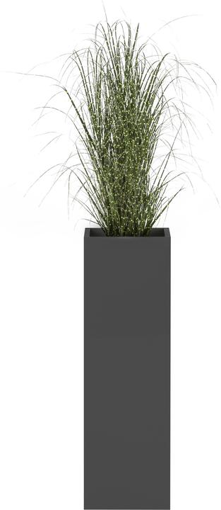 Produktbild Schildmeyer Serie 1500 (25.5 x 25 x 80 cm)