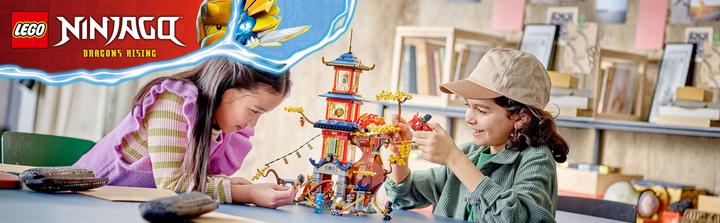 Immagine prodotto LEGO NINJAGO - Il Tempio del Potere del Drago (71795, LEGO Ninjago)