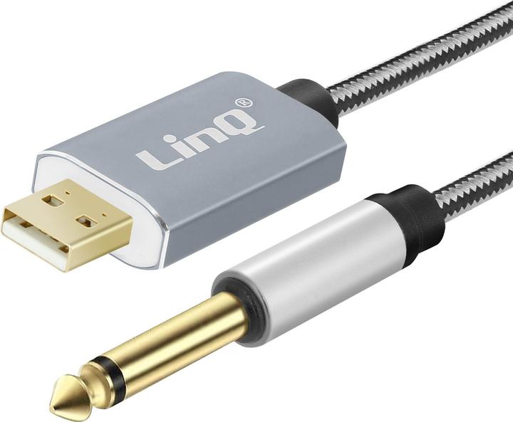 Actual product image LinQ USB / 6.35mm jack audio cable (3 m)