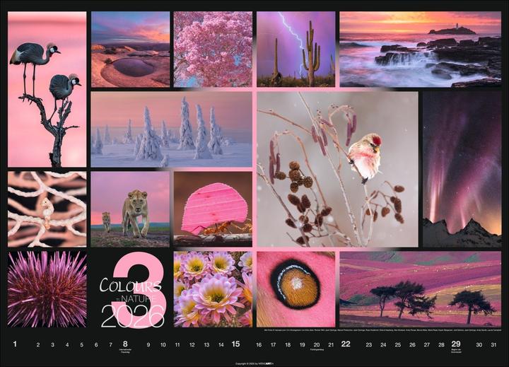 Produktbild Colours of Nature Kalender 2026 (68 x 49 cm, Harter Einband, Deutsch)