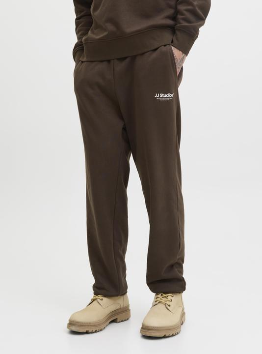 Actual product image Jack & Jones Regular Fit Relaxed Fit Hosen Relaxed Fit Hosen (XXL)