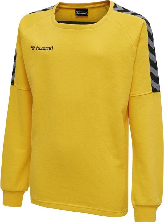 Produktbild hummel Authentic Kids Training Sweat (140)