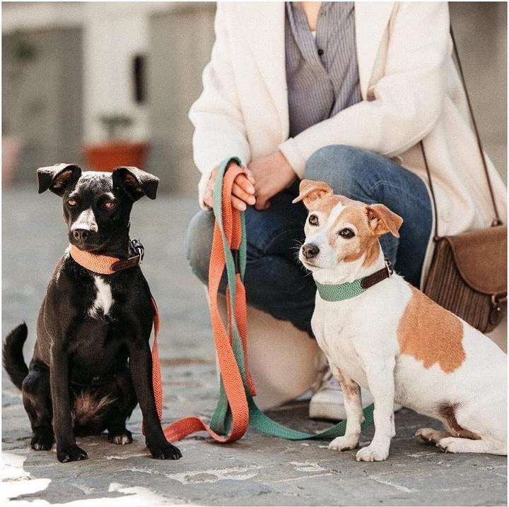 Produktbild Kentucky Dogwear Hundeleine Jacquard (140, Hund, Allgemein)