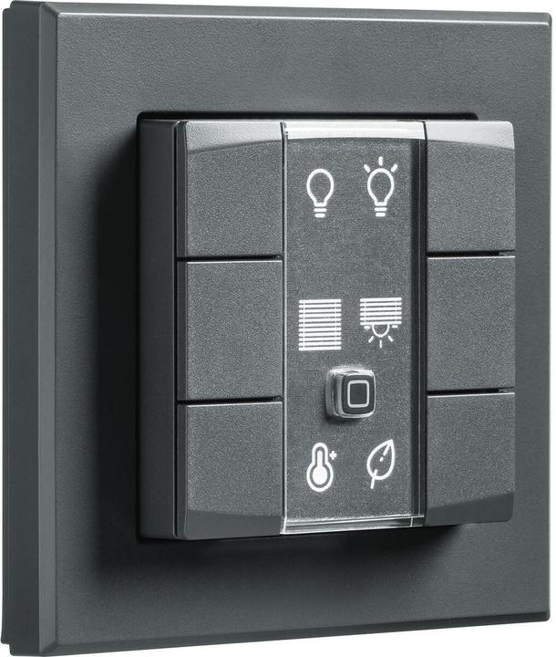 Actual product image Homematic IP Radio wall switch HmIP-WRC6-A