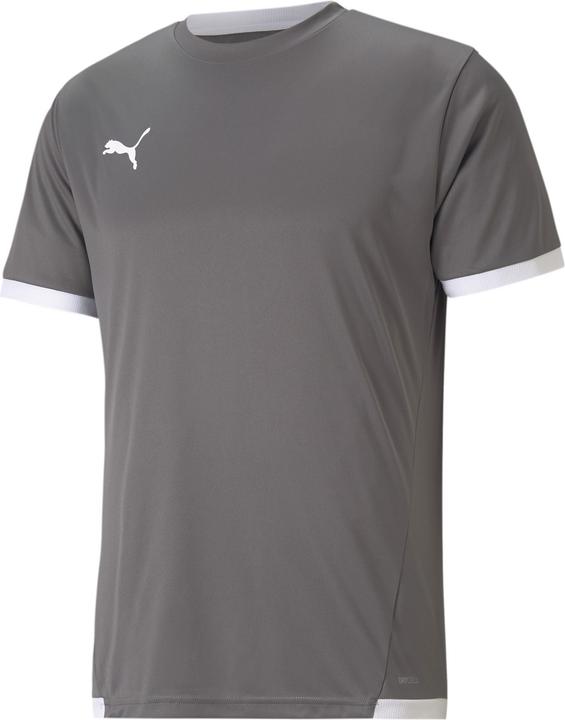 Puma teamLIGA Jersey-704917 (XXL)