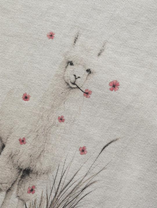 Actual product image Chillaz Klettershirt Alpaca Meadow (34, XS)