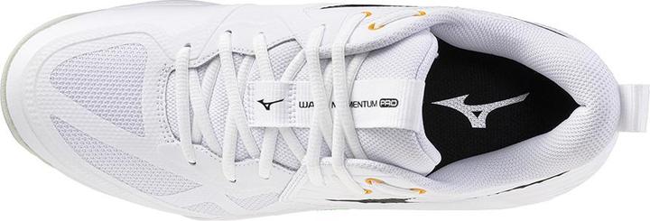 Produktbild Mizuno Wave Momentum Pro (41)