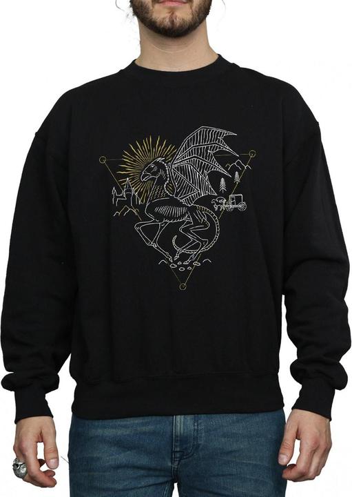 Image du produit - Sweat THESTRAL LINE ART - Homme (XL)
